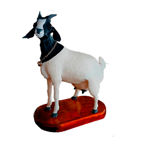 Extra Thick Super Absorbent... - Imagem 5